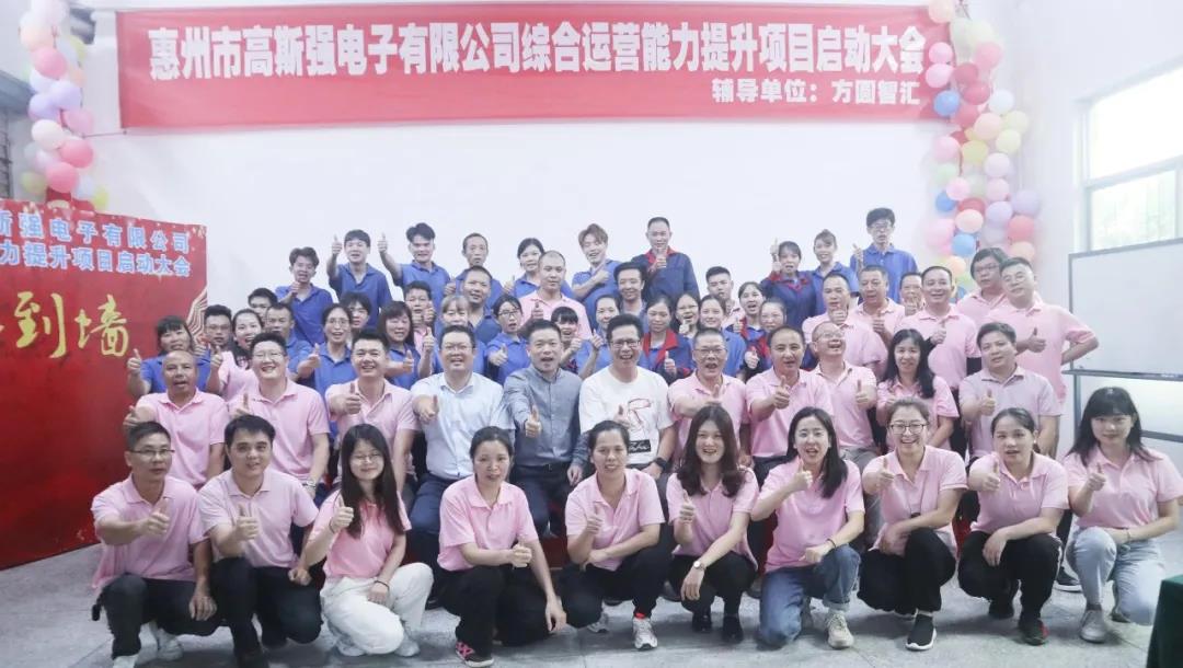 惠州市高斯强电子有限公司【LCIM综合运营能力提升项目】正式启动！